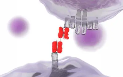 Bispecific antibody stops life-threatening combination of ITP and APS