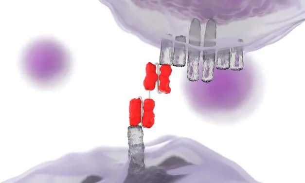 Bispecific antibody stops life-threatening combination of ITP and APS