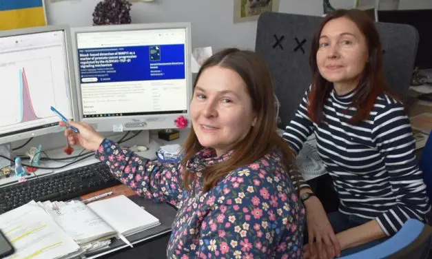 MMP11: Promising biomarker for liquid biopsy in metastatic prostate cancer