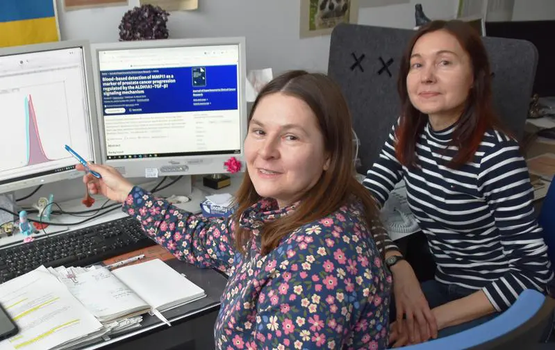 MMP11: Promising biomarker for liquid biopsy in metastatic prostate cancer