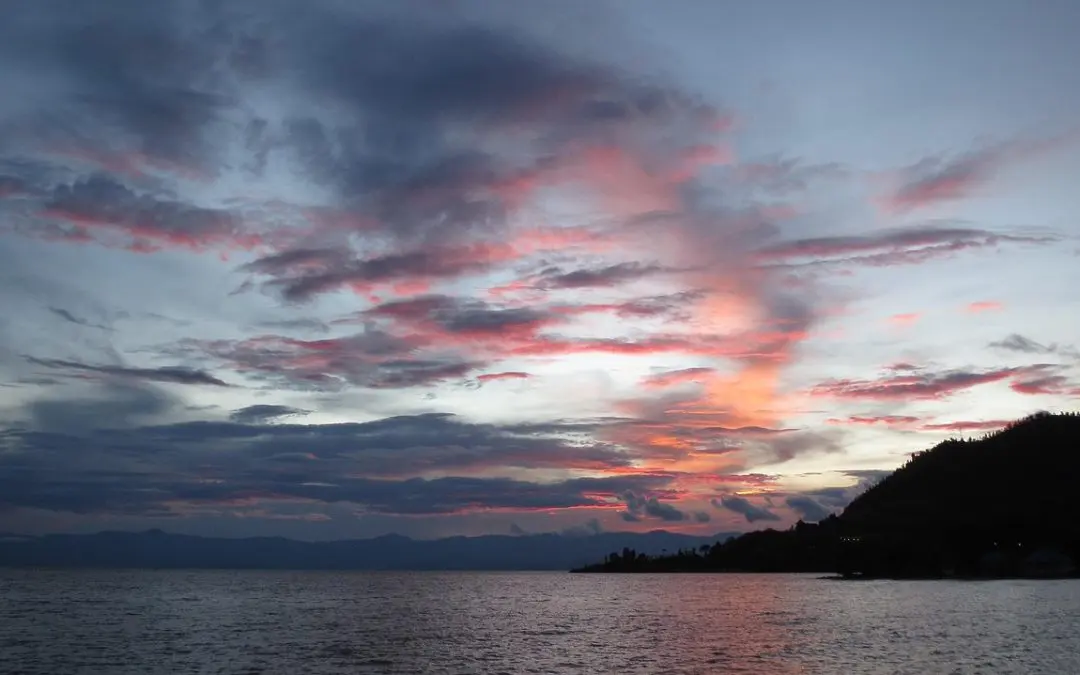 LPP markers: Rescuers in the 1994 Rwandan genocide show stronger neuronal empathy