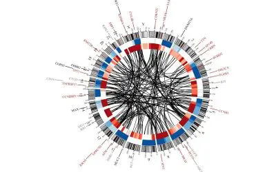 Therapies for multiple myeloma leave measurable genetic traces in the tumor cells