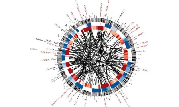 Therapies for multiple myeloma leave measurable genetic traces in the tumor cells