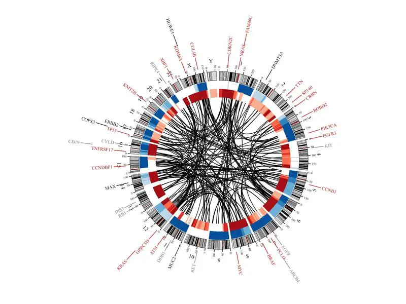 Therapies for multiple myeloma leave measurable genetic traces in the tumor cells