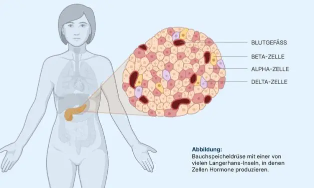Explainable AI reveals hidden tissue changes in type 2 diabetes