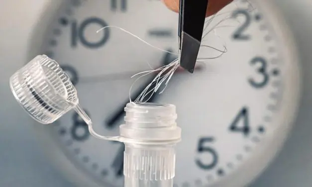 New hair root test determines individual internal clock