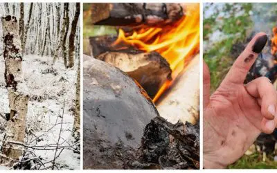 Neanderthal innovation: birch pitch against Staphylococcus aureus