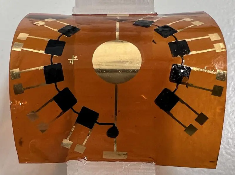 New hydrogel combines biological and electronic signals for medical implants
