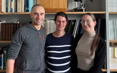 Essen research team deciphers how Puumala virus remodels cells