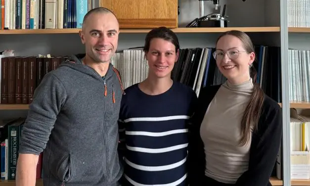 Essen research team deciphers how Puumala virus remodels cells