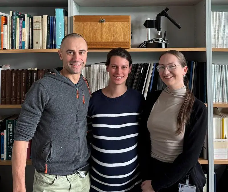 Essen research team deciphers how Puumala virus remodels cells