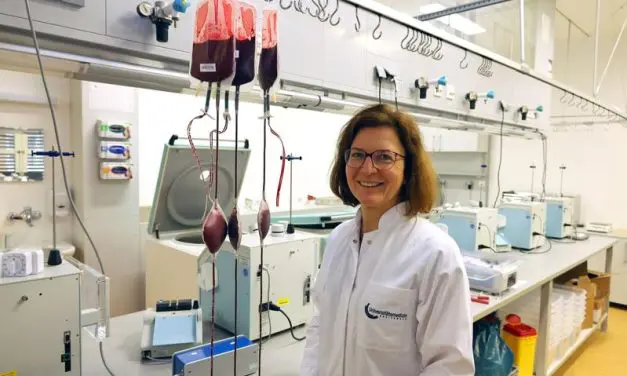 Sensation: Universal blood plasma for all blood groups receives PEI approval