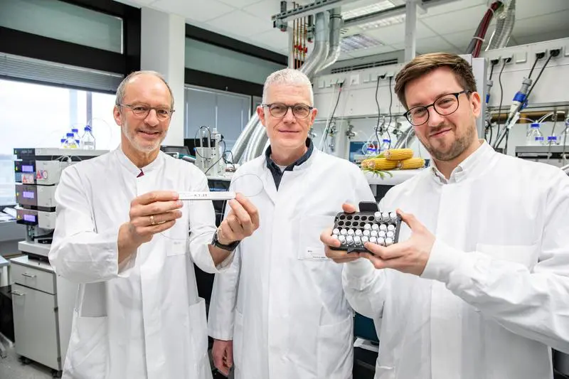 MHH researchers discover microprotein that repairs heart after infarction