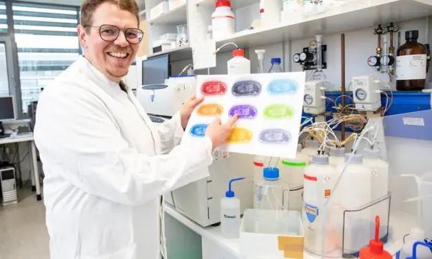 MHH researcher receives two million euros for new vaccines against resistant bacteria