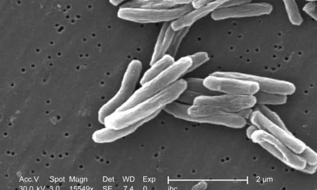 Long-term chances of cure for multidrug-resistant tuberculosis significantly higher than expected