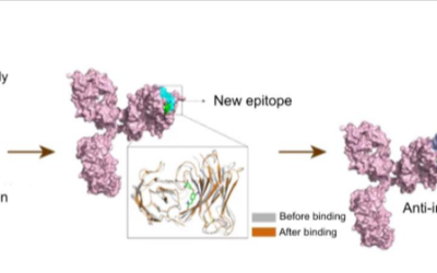 Redefining Small Molecule Analytics: Bridging the Gap Between LC–MS/MS and Immunoassays