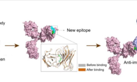 Redefining Small Molecule Analytics: Bridging the Gap Between LC–MS/MS and Immunoassays