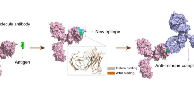 Redefining Small Molecule Analytics: Bridging the Gap Between LC–MS/MS and Immunoassays