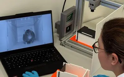 Grimace: ETH Zurich develops AI system for automatic pain detection in laboratory mice