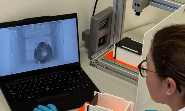 Grimace: ETH Zurich develops AI system for automatic pain detection in laboratory mice