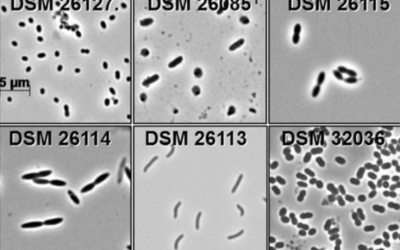 DSMZ: More microbiomes for global research