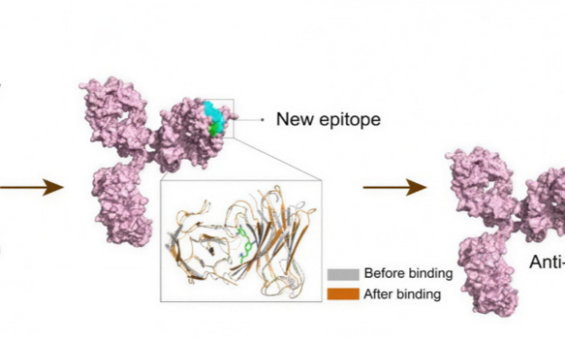 Redefining Small Molecule Analytics: Bridging the Gap Between LC–MS/MS and Immunoassays