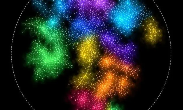 First draft of a genetic interaction map created