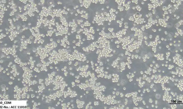DSMZ Provides First Animal-Component-Free Cancer Cell Lines for Research