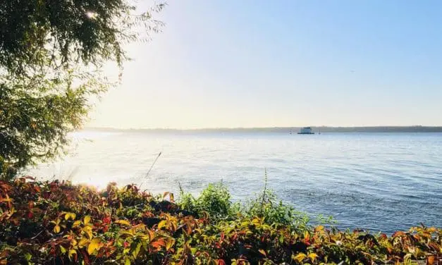 Antibiotic-resistant bacteria detected in German lakes