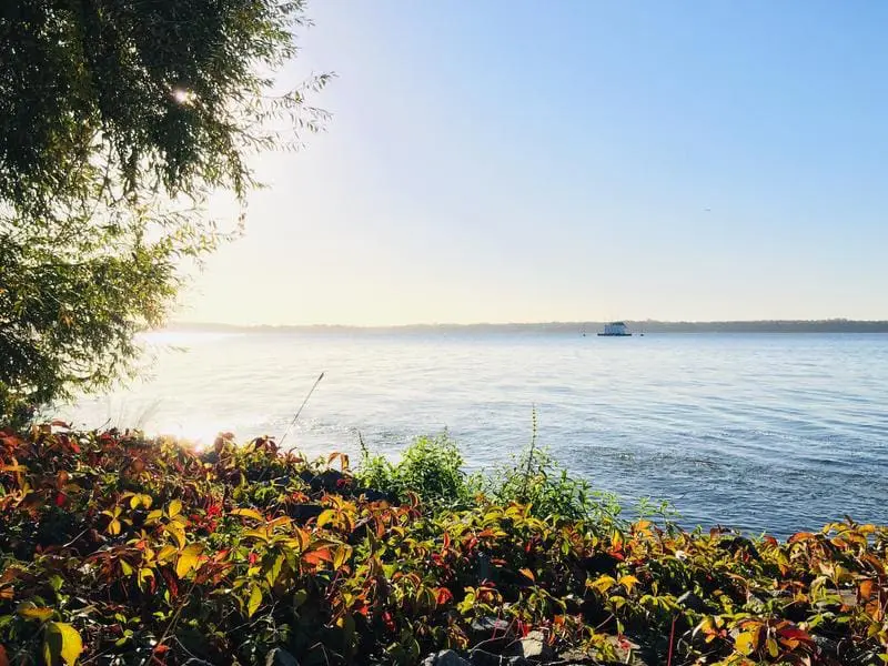Antibiotic-resistant bacteria detected in German lakes