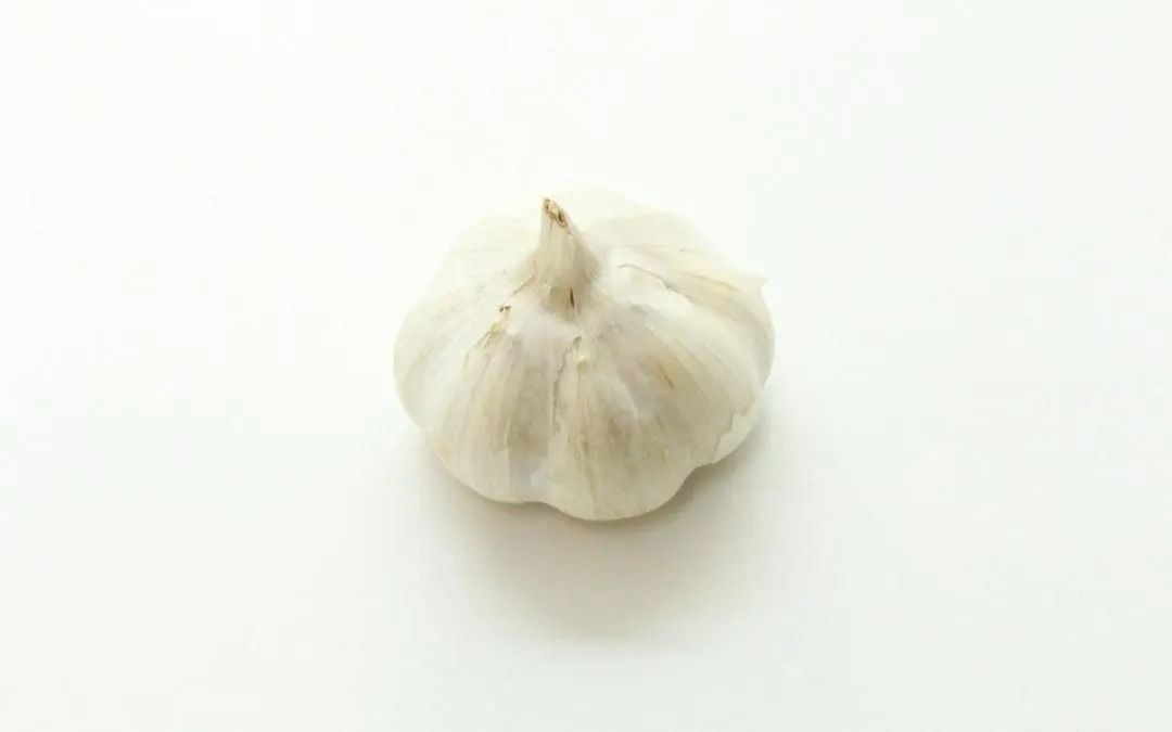 Longevity: Garlic compound S1PC improves muscle strength in old age