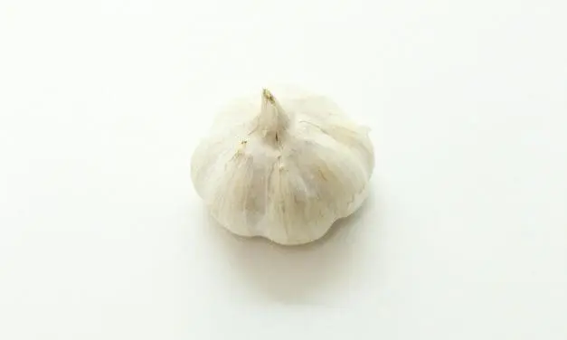 Longevity: Garlic compound S1PC improves muscle strength in old age