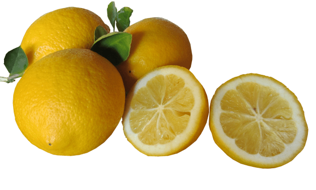 Vitamin C inhibits the formation of cancerous compounds in the digestive tract
