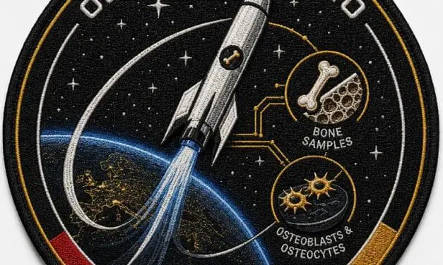 University Medicine Greifswald conducts research in space for the first time