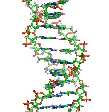 Protein mapping of African genomes provides new insights into type 2 diabetes
