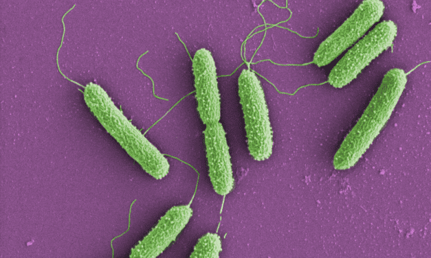 Antibiotic resistance in the environment: University of Surrey warns of silent crisis