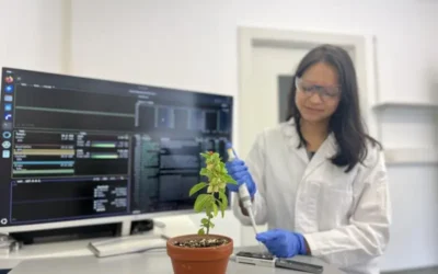 Withanolides: Breakthrough in the decoding of plant steroid formation
