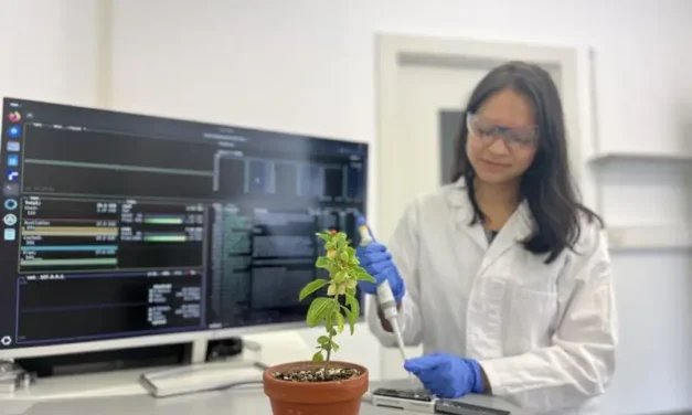 Withanolides: Breakthrough in the decoding of plant steroid formation