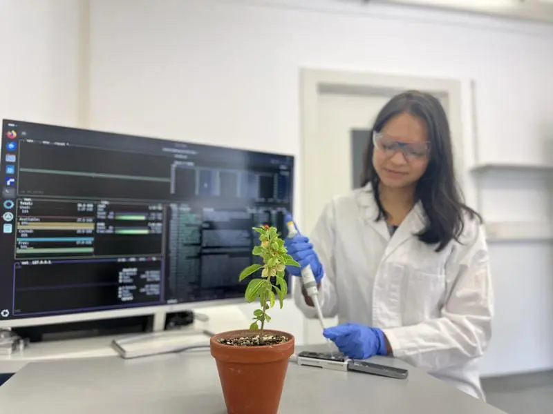 Withanolides: Breakthrough in the decoding of plant steroid formation