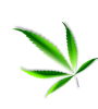 Cannabis. Credits: Pixabay