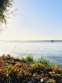 Müggelsee | Quelle: Angelina Tittmann | Copyright: IGB/Tittmann
